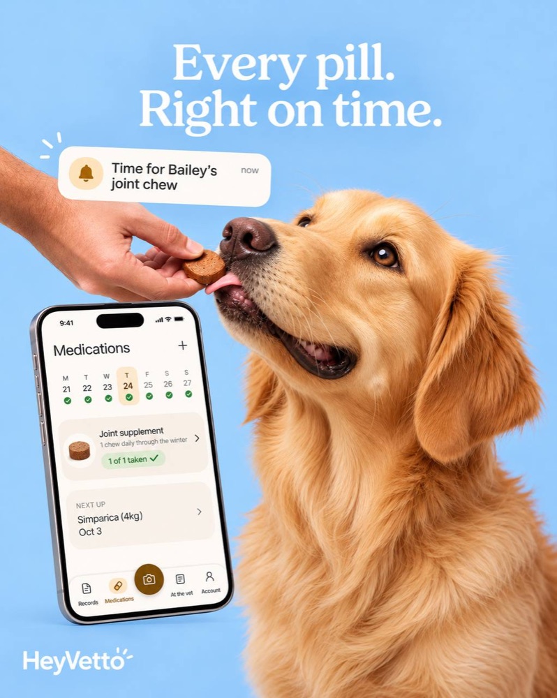Every pill. Right on time. A golden retriever takes a joint chew as a reminder pops up: Time for Bailey's joint chew. Beside it, the Medications screen shows a week of ticks and Simparica next up on Oct 3.
