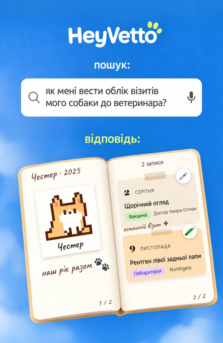 Пошук «як мені вести облік візитів мого собаки до ветеринара?», а відповідь — HeyVetto: картка Честера відкрита на щорічному огляді зі щепленням і рентгеном лівої задньої лапи.