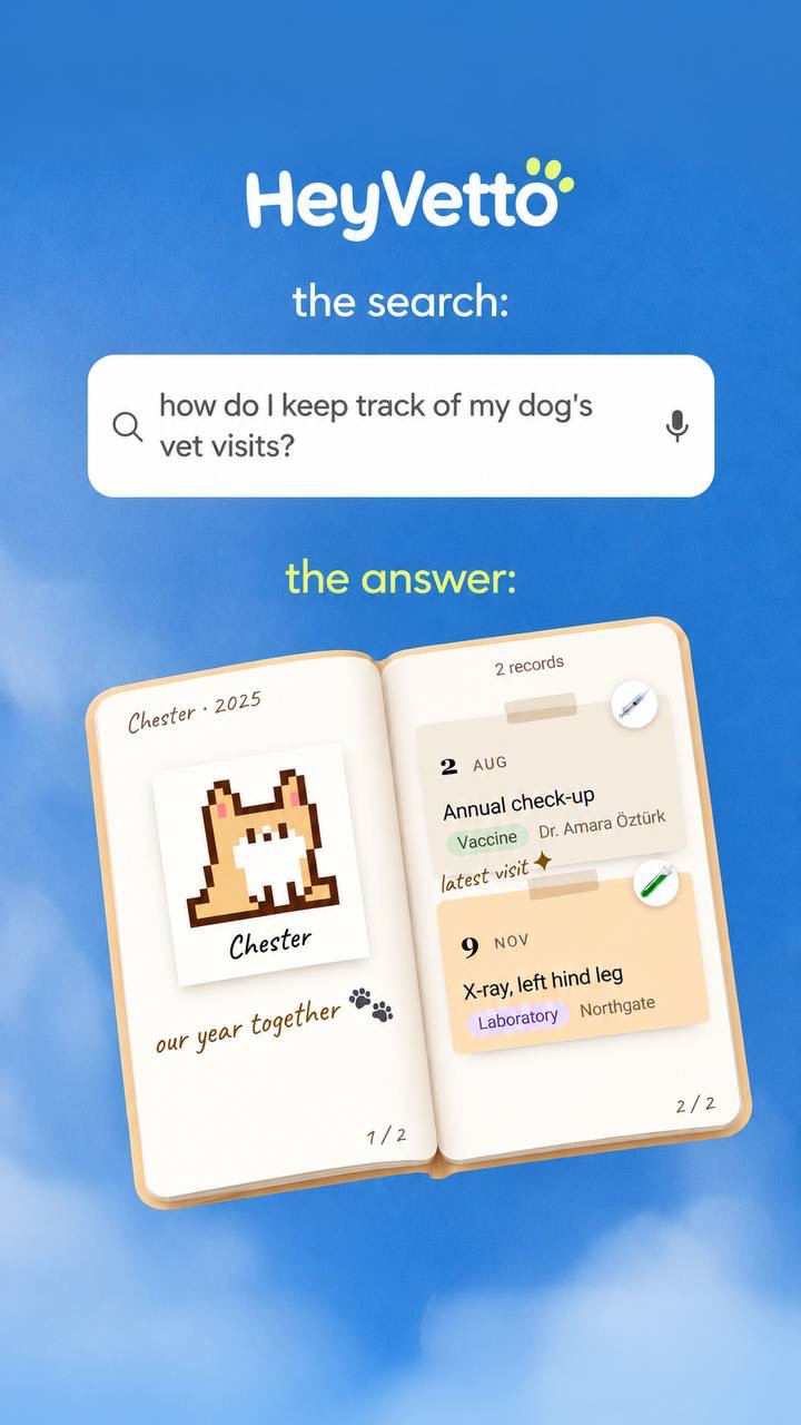 A search for how to keep track of a dog's vet visits, answered by HeyVetto: Chester's record book open to an annual check-up with a vaccine and an X-ray of the left hind leg.