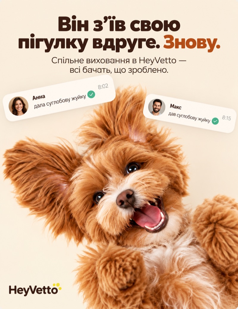 Він з’їв свою пігулку вдруге. Знову. Два сповіщення: Анна й Макс дали ту саму суглобову жуйку о 8:02 і 8:15, під ними пухнасте цуценя лежить на спині.