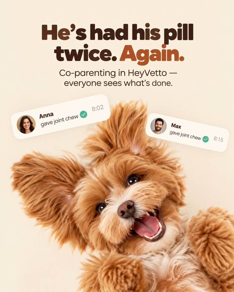 He's had his pill twice. Again. Two reminders show Anna and Max each gave the same joint chew, at 8:02 and 8:15, above a fluffy puppy lying on its back.